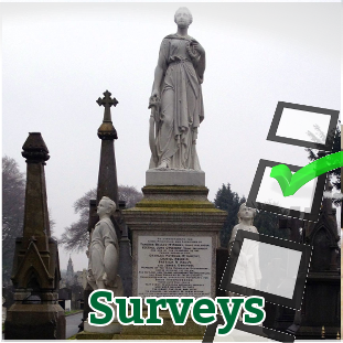 surveybox